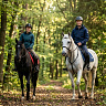 Конная прогулка для двоих в Иркутске. Подарочные сертификаты Ultra Подарки. Купить оригинальный подарок или подарочный сертификат на Конная прогулка для двоих в Иркутске. Сервис UltraPodarki.ru 8-800-505-9530. Катание на лошадях, Прогулка на лошади, Прогулка на лошадях для двоих, Конная прогулка для двоих, конный клуб, Конный клуб, конная прогулка, конная прогулка в Иркутске