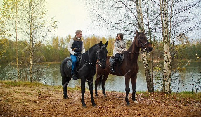 Конная прогулка для двоих в Иркутске. Подарочные сертификаты Ultra Подарки. Купить оригинальный подарок или подарочный сертификат на Конная прогулка для двоих в Иркутске. Сервис UltraPodarki.ru 8-800-505-9530. Катание на лошадях, Прогулка на лошади, Прогулка на лошадях для двоих, Конная прогулка для двоих, конный клуб, Конный клуб, конная прогулка, конная прогулка в Иркутске