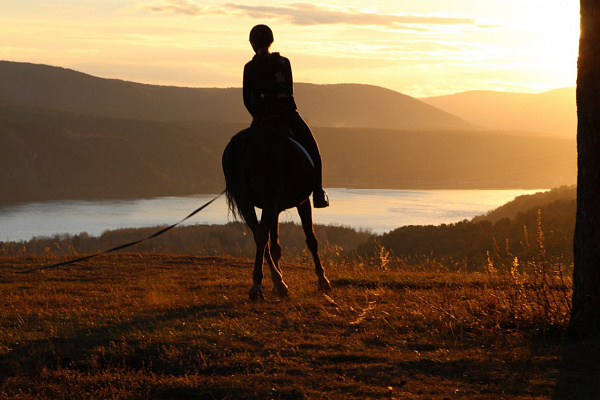 Обучение верховой езде. Подарочные сертификаты Ultra Подарки Иркутск. Купить оригинальный подарок или подарочный сертификат на Обучение верховой езде. Сервис UltraPodarki.ru Иркутск 8 800 505 95 30. 