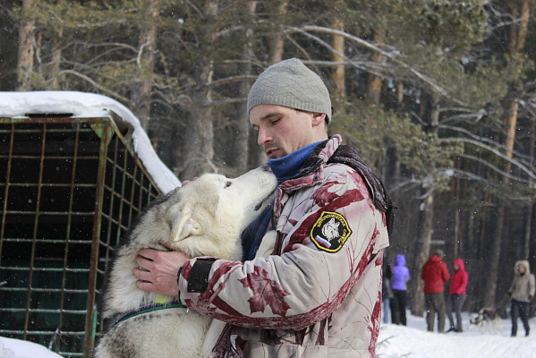 Катание на хаски в Иркутске. Ultra Подарки. Катание на хаски в Иркутске. Попробуйте Катание на хаски. Сервис: UltraPodarki.ru 8 800 505 95 30. Катание на хаски Иркутск, Катание на хаски в Иркутске, хаски, животные в Иркутске, 