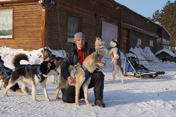 Катание на хаски в Иркутске. Ultra Подарки. Катание на хаски в Иркутске. Попробуйте Катание на хаски. Сервис: UltraPodarki.ru 8 800 505 95 30. Катание на хаски Иркутск, Катание на хаски в Иркутске, хаски, животные в Иркутске, 