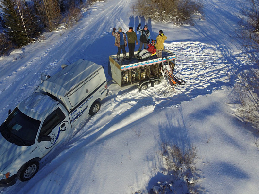 Катание на хаски в Иркутске. Ultra Подарки. Катание на хаски в Иркутске. Попробуйте Катание на хаски. Сервис: UltraPodarki.ru 8 800 505 95 30. Катание на хаски Иркутск, Катание на хаски в Иркутске, хаски, животные в Иркутске, 