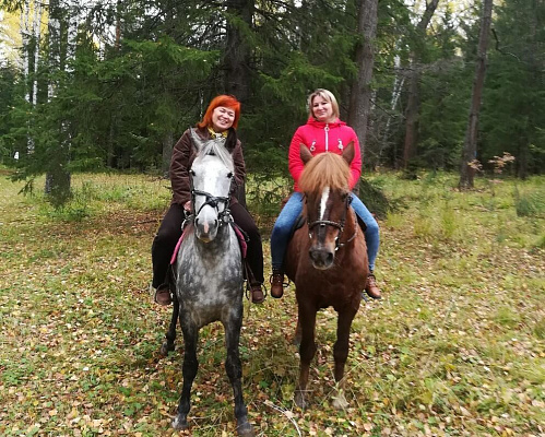 Конная прогулка для двоих в Иркутске. Подарочные сертификаты Ultra Подарки. Купить оригинальный подарок или подарочный сертификат на Конная прогулка для двоих в Иркутске. Сервис UltraPodarki.ru 8-800-505-9530. Катание на лошадях, Прогулка на лошади, Прогулка на лошадях для двоих, Конная прогулка для двоих, конный клуб, Конный клуб, конная прогулка, конная прогулка в Иркутске