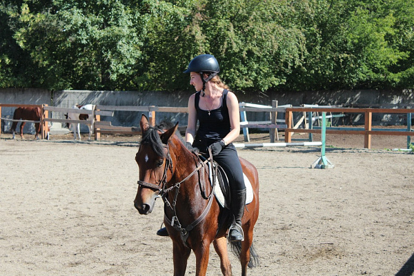 Обучение верховой езде. Подарочные сертификаты Ultra Подарки Иркутск. Купить оригинальный подарок или подарочный сертификат на Обучение верховой езде. Сервис UltraPodarki.ru Иркутск 8 800 505 95 30. 