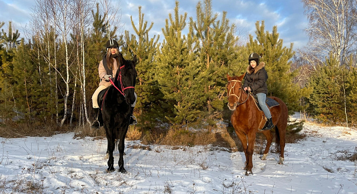 Конная прогулка для двоих в Иркутске. Подарочные сертификаты Ultra Подарки. Купить оригинальный подарок или подарочный сертификат на Конная прогулка для двоих в Иркутске. Сервис UltraPodarki.ru 8-800-505-9530. Катание на лошадях, Прогулка на лошади, Прогулка на лошадях для двоих, Конная прогулка для двоих, конный клуб, Конный клуб, конная прогулка, конная прогулка в Иркутске
