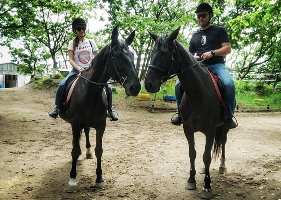 Конная прогулка для двоих в Иркутске. Подарочные сертификаты Ultra Подарки. Купить оригинальный подарок или подарочный сертификат на Конная прогулка для двоих в Иркутске. Сервис UltraPodarki.ru 8-800-505-9530. Катание на лошадях, Прогулка на лошади, Прогулка на лошадях для двоих, Конная прогулка для двоих, конный клуб, Конный клуб, конная прогулка, конная прогулка в Иркутске