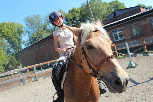 Обучение верховой езде. Подарочные сертификаты Ultra Подарки Иркутск. Купить оригинальный подарок или подарочный сертификат на Обучение верховой езде. Сервис UltraPodarki.ru Иркутск 8 800 505 95 30. 