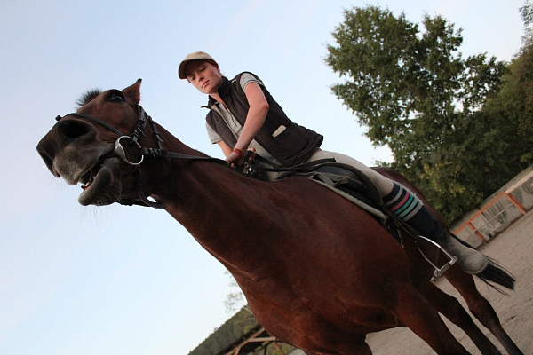 Обучение верховой езде. Подарочные сертификаты Ultra Подарки Иркутск. Купить оригинальный подарок или подарочный сертификат на Обучение верховой езде. Сервис UltraPodarki.ru Иркутск 8 800 505 95 30. 