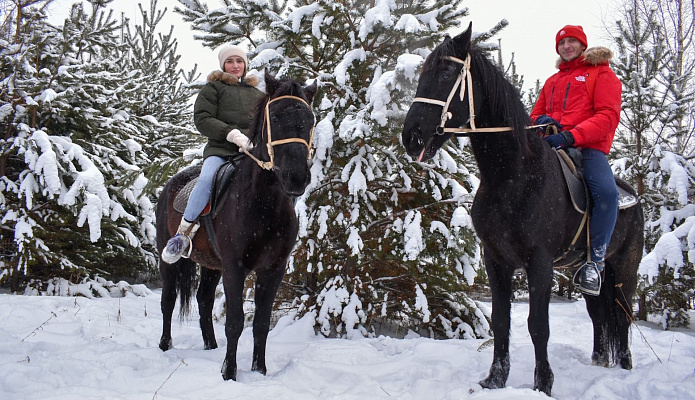 Конная прогулка для двоих в Иркутске. Подарочные сертификаты Ultra Подарки. Купить оригинальный подарок или подарочный сертификат на Конная прогулка для двоих в Иркутске. Сервис UltraPodarki.ru 8-800-505-9530. Катание на лошадях, Прогулка на лошади, Прогулка на лошадях для двоих, Конная прогулка для двоих, конный клуб, Конный клуб, конная прогулка, конная прогулка в Иркутске